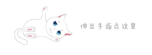 生活不易，宠物也被迫摆摊，铲屎官：成熟的猫咪应该学会养活主人